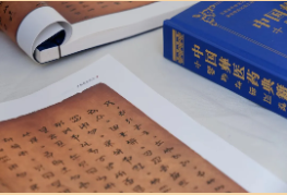 臨滄中醫(yī)夜市|交流借鑒促發(fā)展，鎮(zhèn)康專場啟新篇